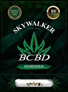 Skywalker Strain Feminized