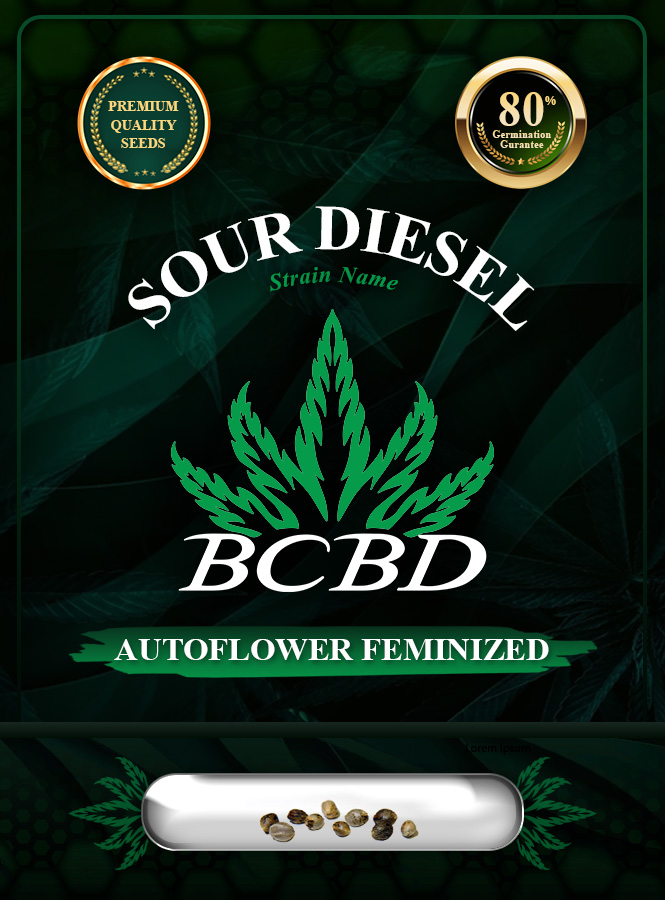 Sour Diesel Strain Autoflowering Marijuana Seeds