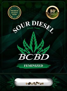 Sour Diesel Strain Feminized Marijuana Seeds