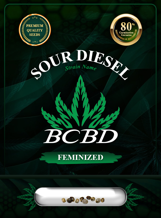 Sour Diesel Strain Feminized Marijuana Seeds