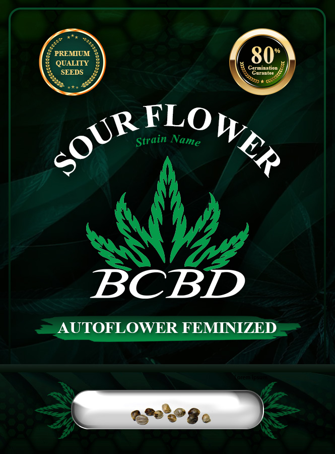 Sour Flower Strain Autoflowering Marijuana Seeds