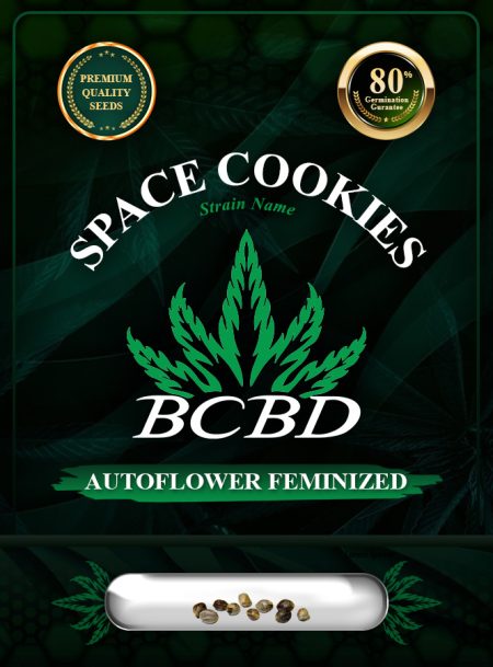Space Cookies Strain Autoflowering