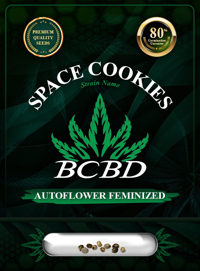 Space Cookies Strain Autoflowering Marijuana Seeds