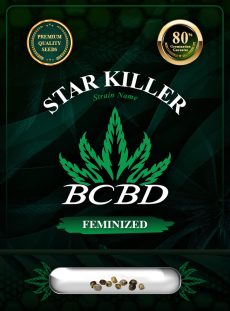 Star Killer Strain Feminized