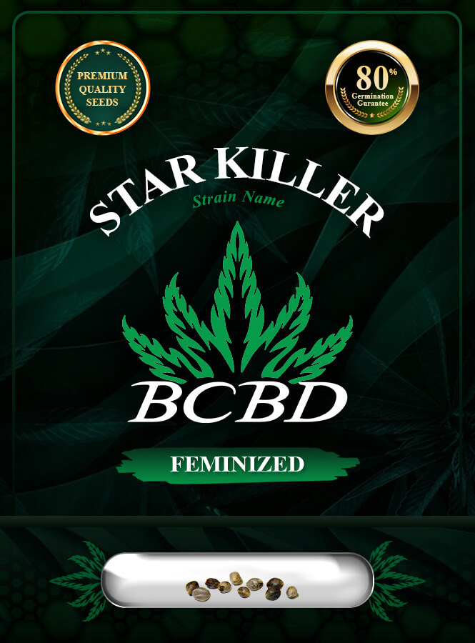 Star Killer Strain Feminized Marijuana Seeds