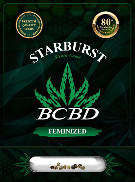 Starburst Strain Feminized