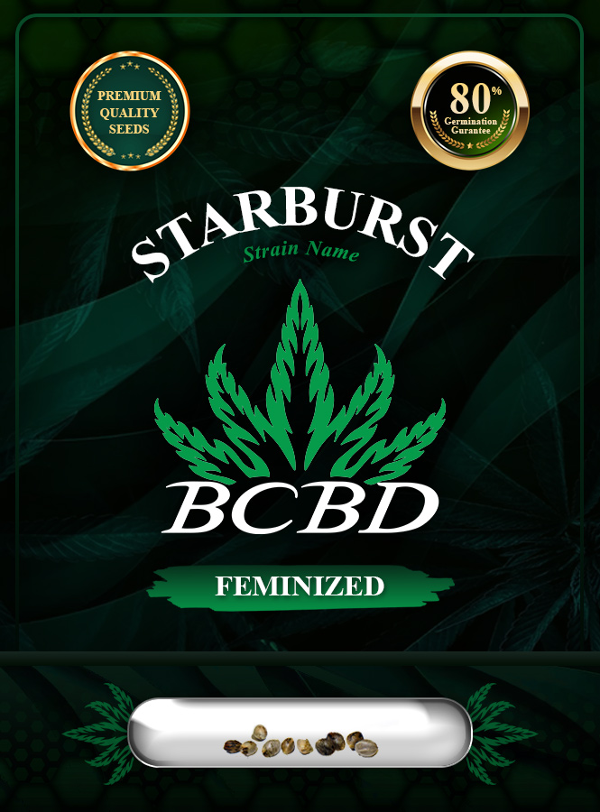 Starburst Strain Feminized Marijuana Seeds