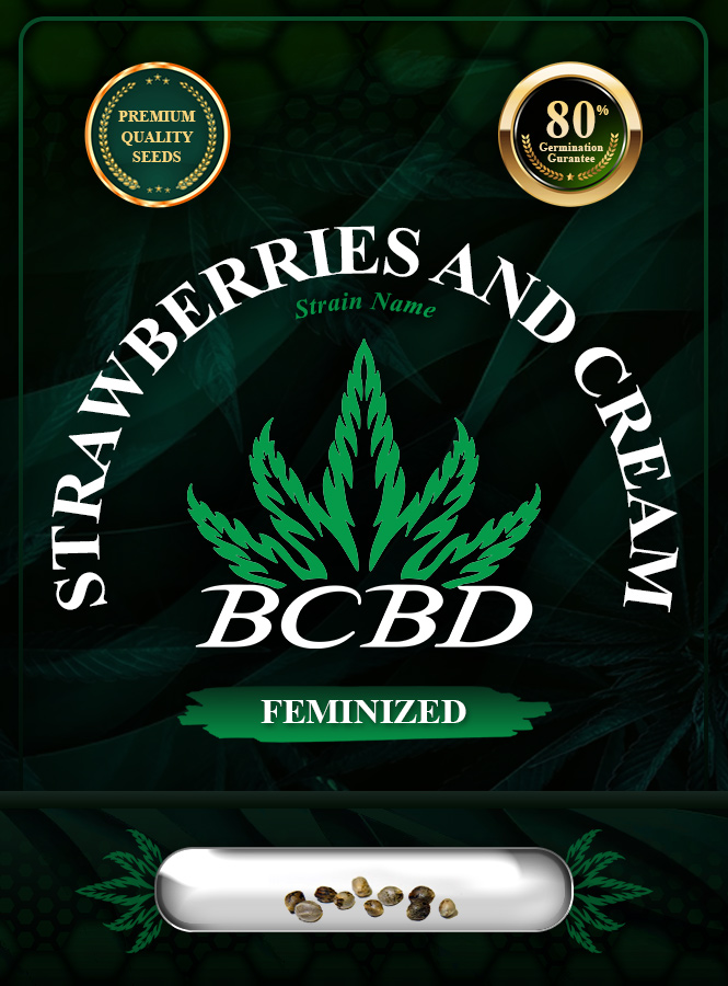Strawberries and Cream Strain Feminized Marijuana Seeds