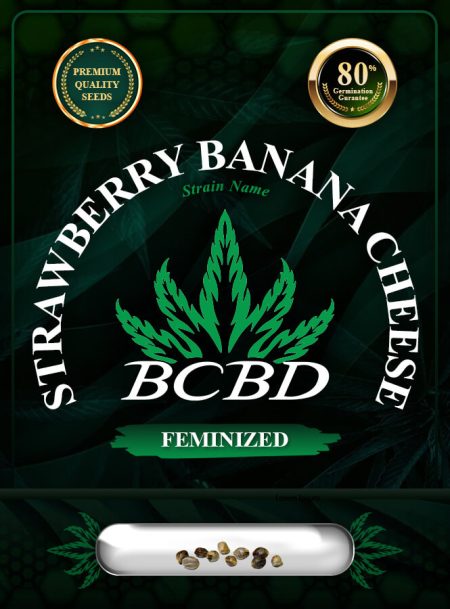 Strawberry Banana Cheese Strain Feminized