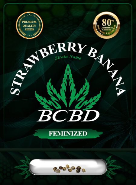 Strawberry Banana Strain Feminized