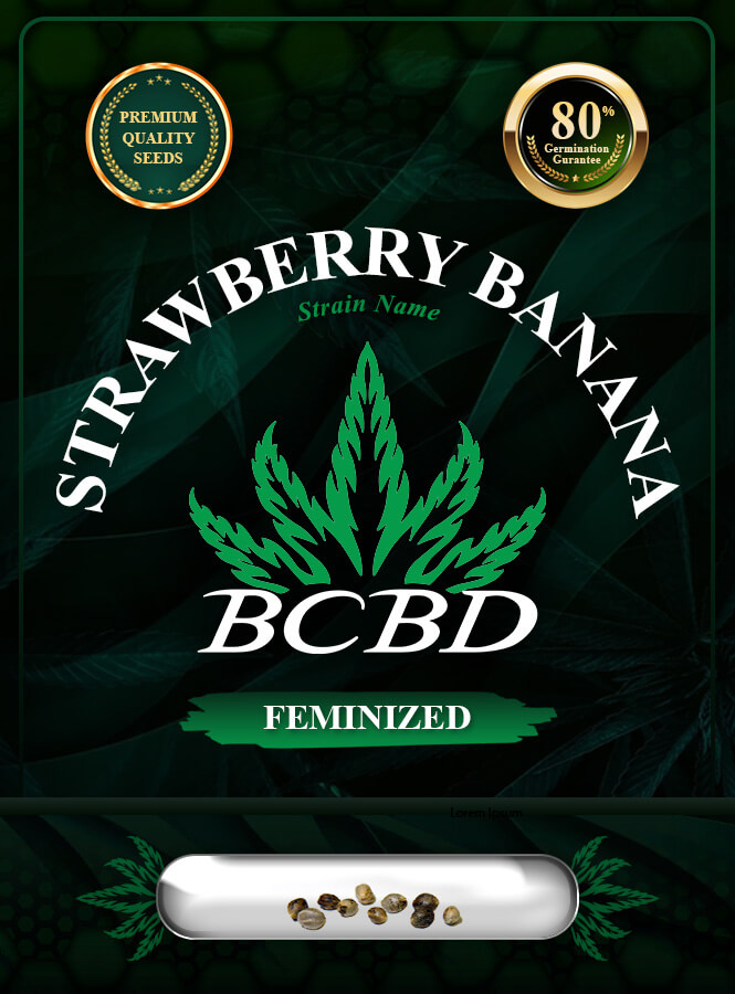 Strawberry Banana Strain Feminized Marijuana Seeds