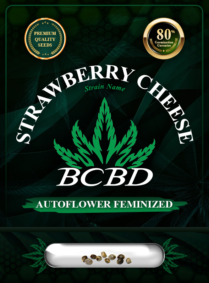 Strawberry Cheese Strain Autoflowering Marijuana Seeds