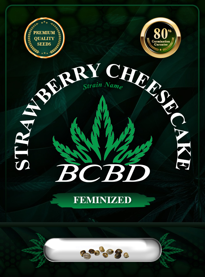 Strawberry Cheesecake Strain Feminized Marijuana Seeds