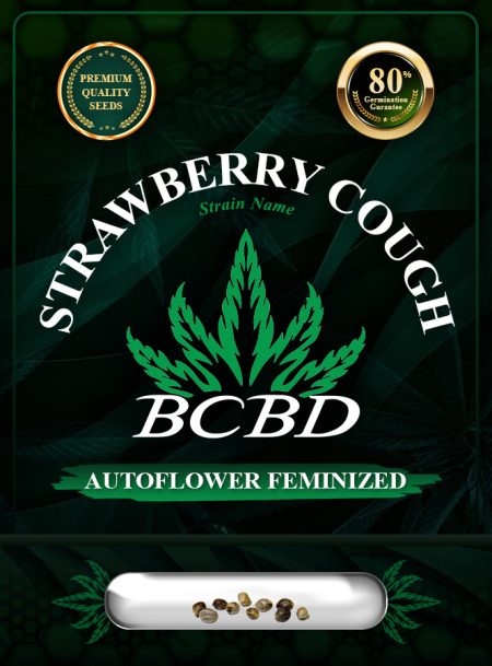 Strawberry Cough Strain Autoflowering