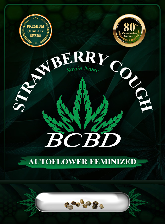 Strawberry Cough Strain Autoflowering Marijuana Seeds