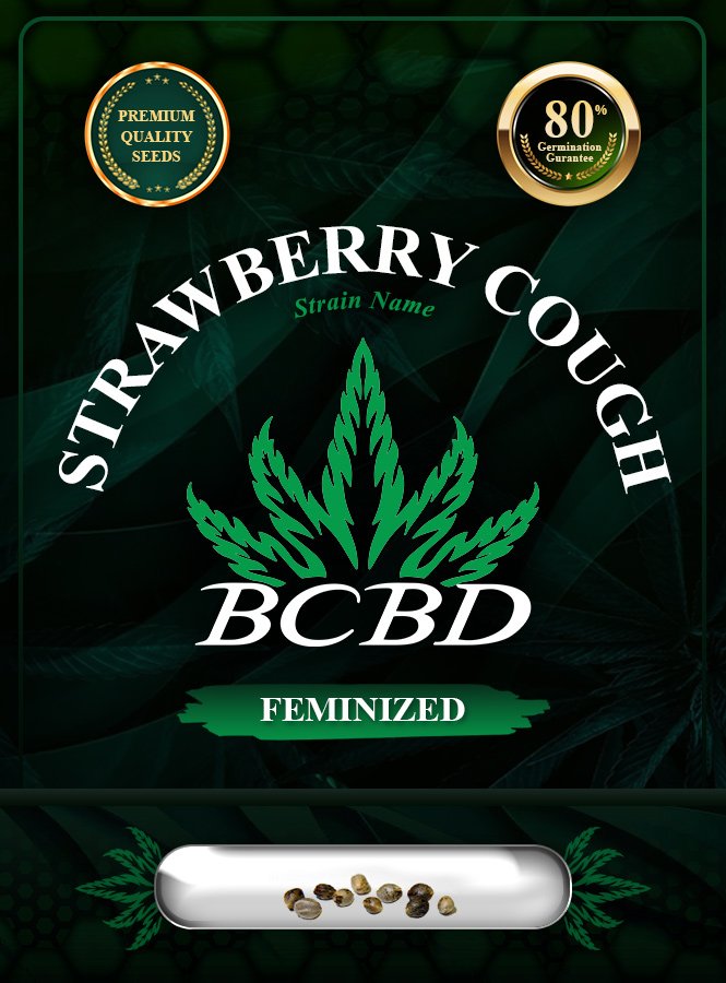 Strawberry Cough Strain Feminized Cannabis Seeds