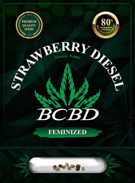Strawberry Diesel Strain Feminized