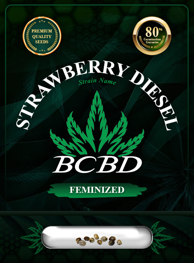 Strawberry Diesel Strain Feminized Marijuana Seeds