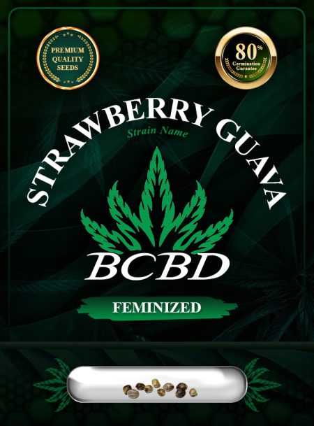Strawberry Guava Strain Feminized