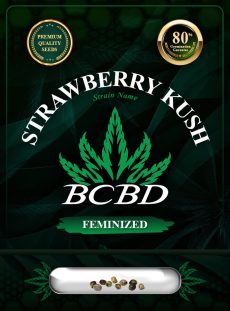 Strawberry Kush Feminized