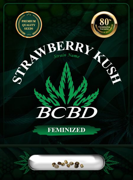 Strawberry Kush Feminized