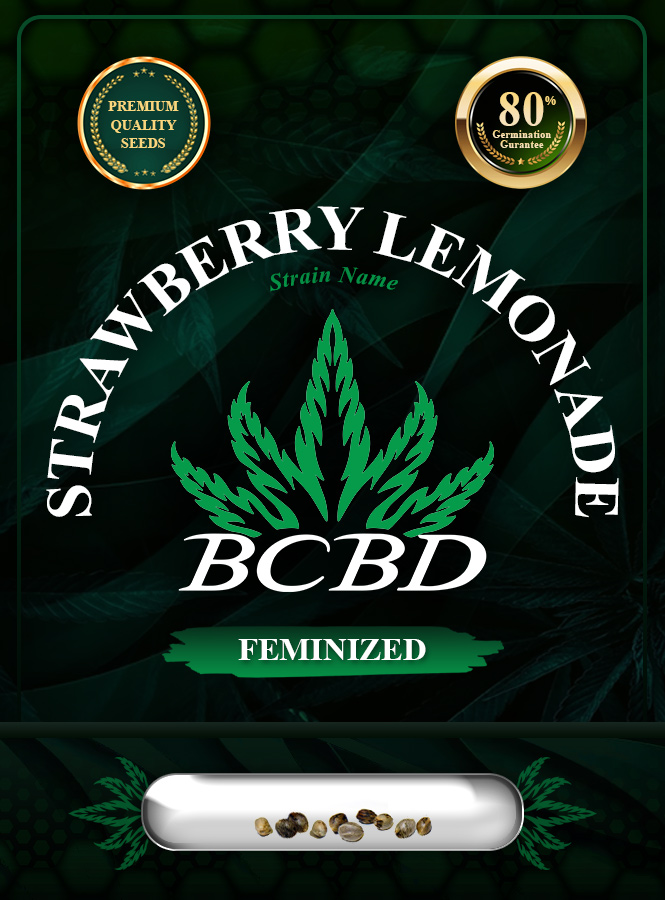 Strawberry Lemonade Strain Feminized Marijuana Seeds