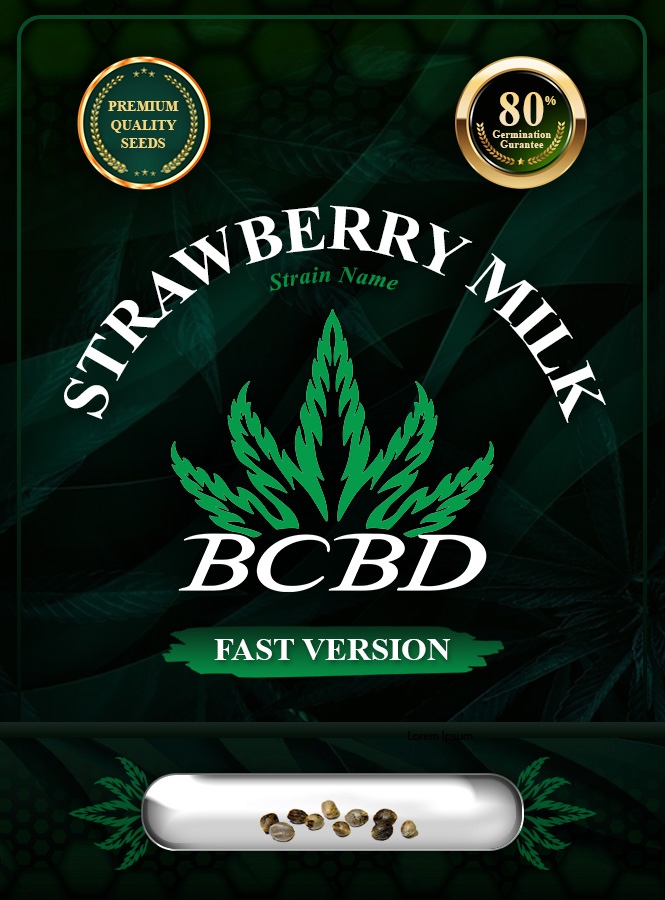 Strawberry Milk Strain Fast Version Marijuana Seeds