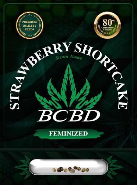 Strawberry Shortcake Strain Feminized