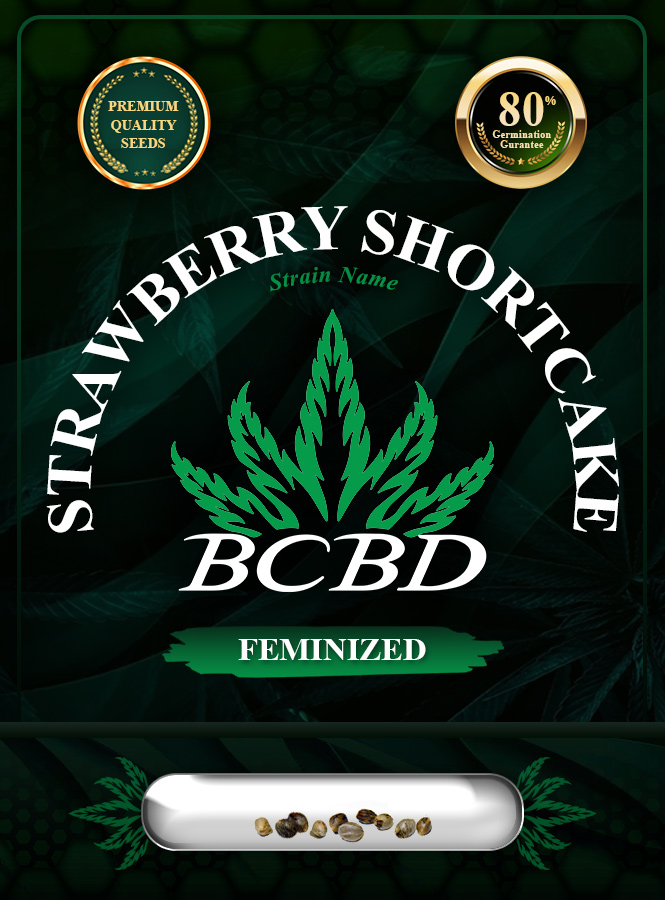 Strawberry Shortcake Strain Feminized Marijuana Seeds