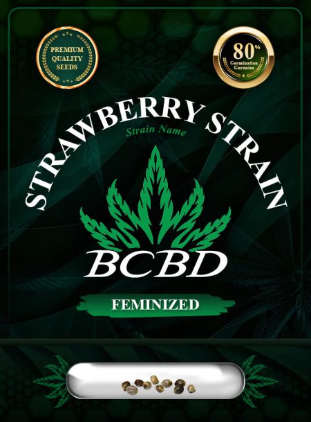 Strawberry Strain Feminized