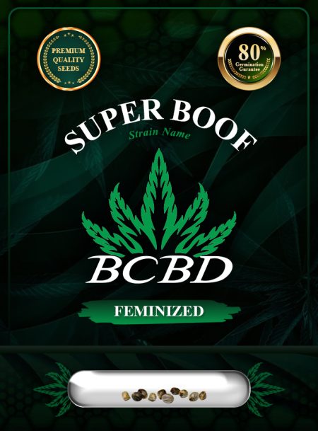 Super Boof Strain Feminized