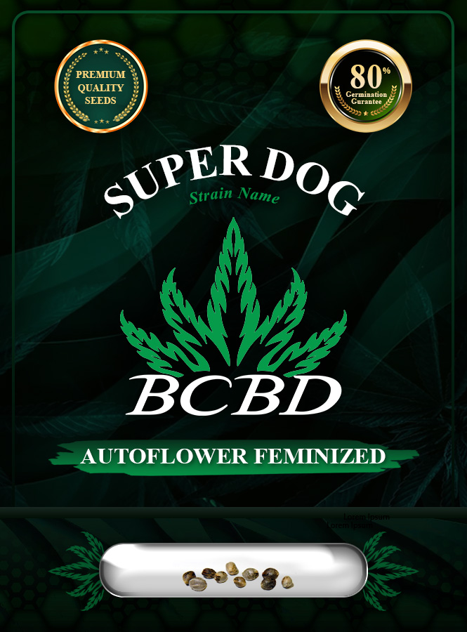 Super Dog Strain Autoflowering Marijuana Seeds