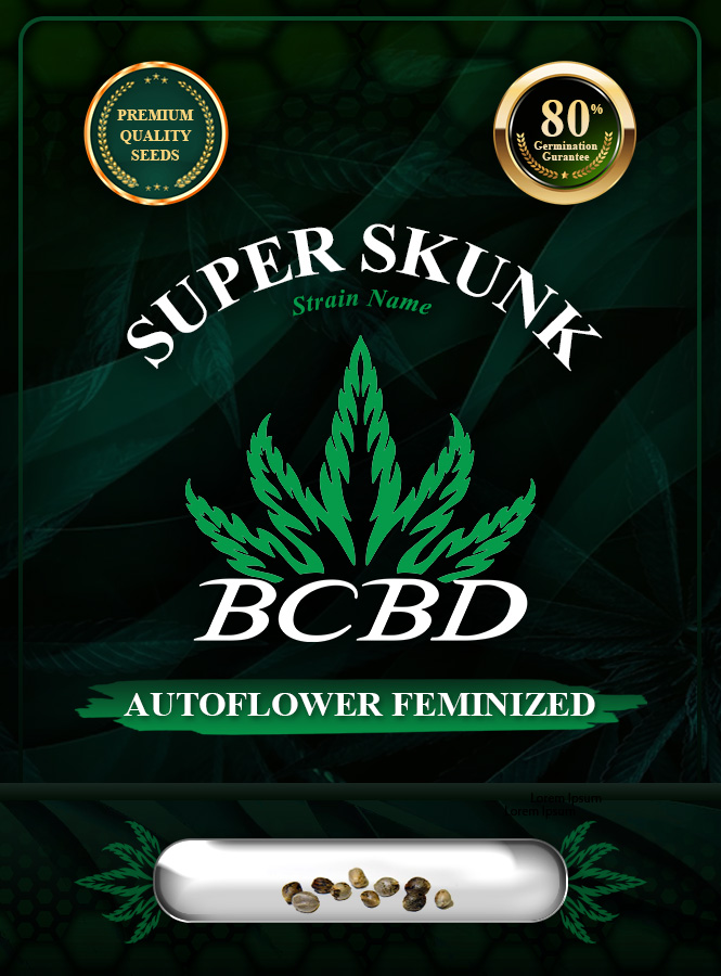 Super Skunk Strain Autoflowering Marijuana Seeds