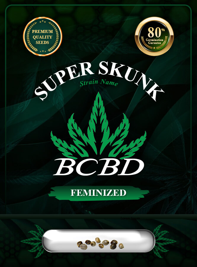 Super Skunk Strain Feminized Marijuana Seeds