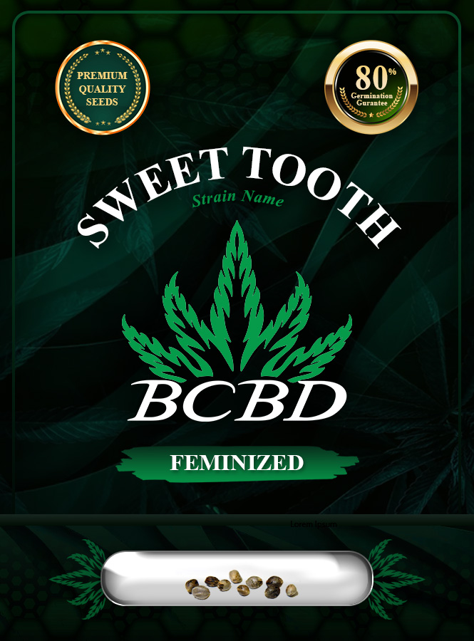 Sweet Tooth Strain Feminized Marijuana Seeds