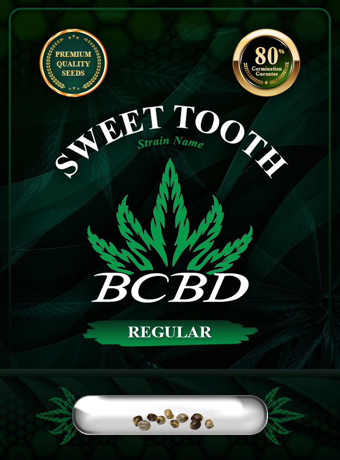 Sweet Tooth Strain Regular Marijuana Seeds