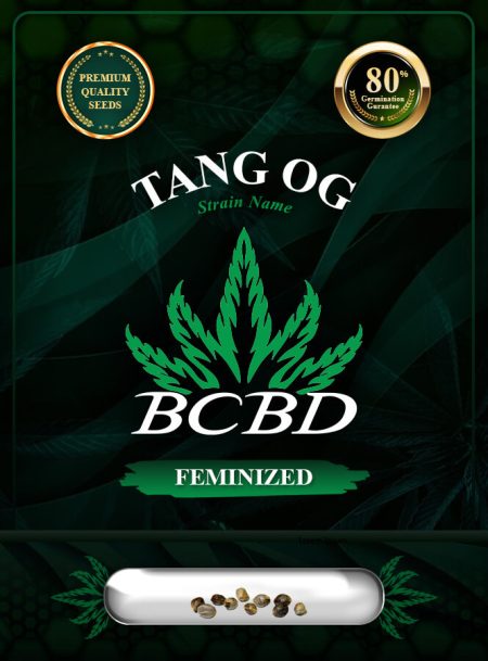 Tang OG Strain Feminized