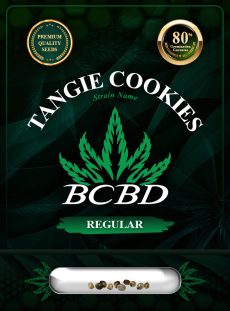 Tangie Cookies Strain Regular