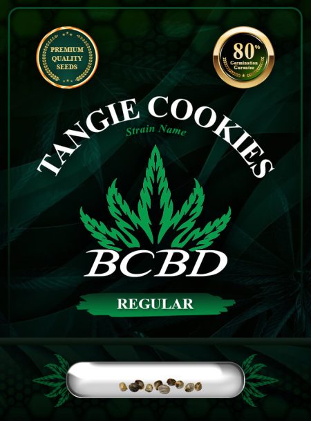 Tangie Cookies Strain Regular