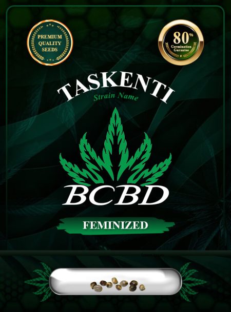 Taskenti Strain Feminized