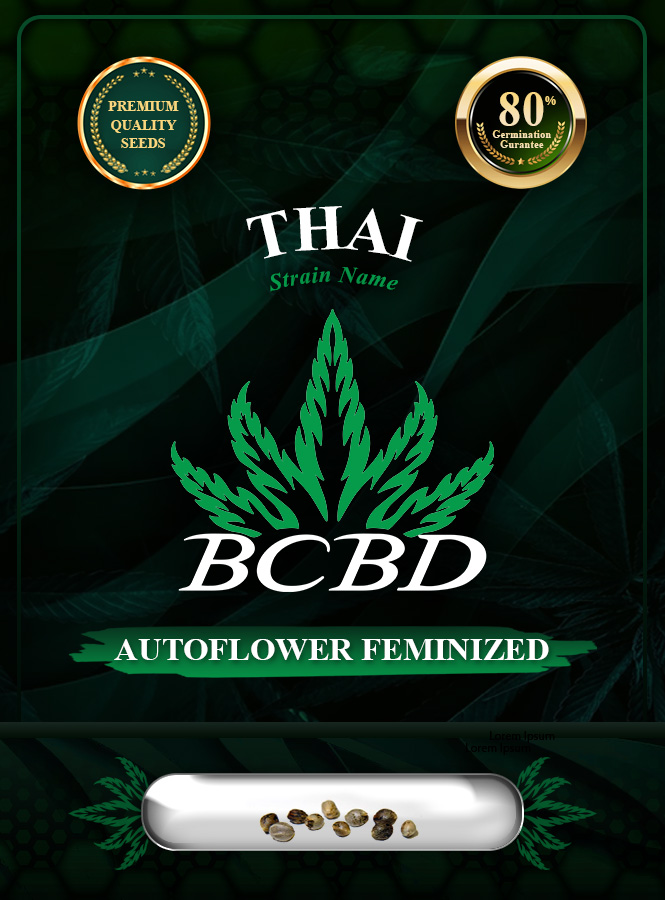 Thai Strain Autoflowering Marijuana Seeds