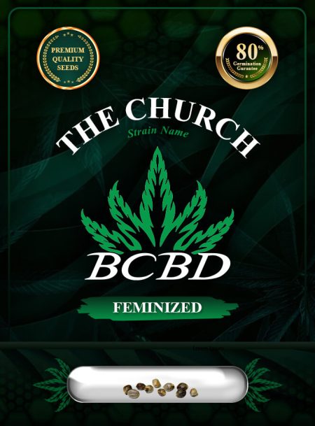 The Church Strain Feminized