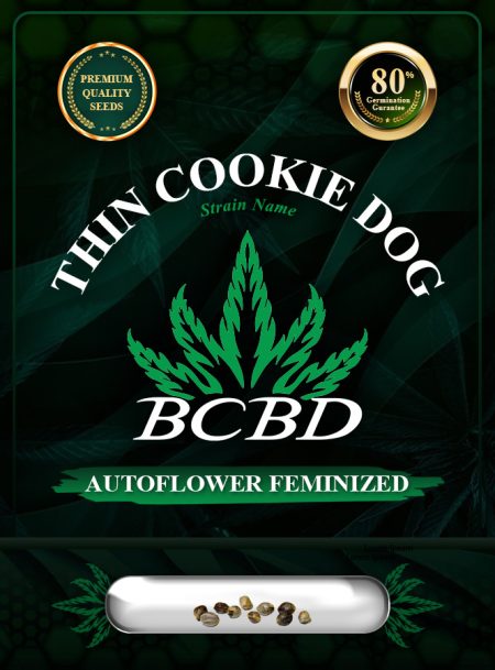 Thin Cookie Dog Strain Autoflowering