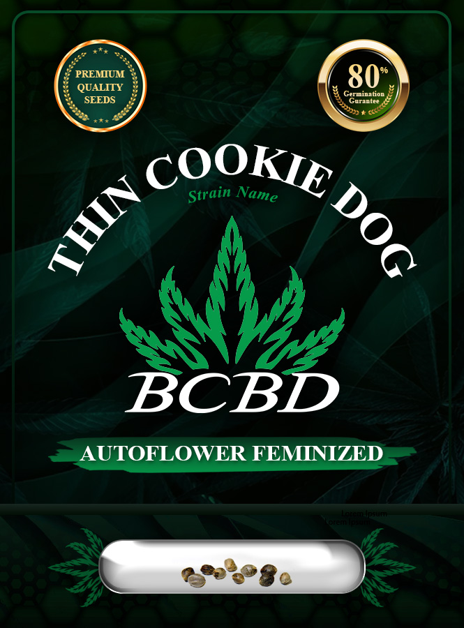 Thin Cookie Dog Strain Autoflowering Marijuana Seeds