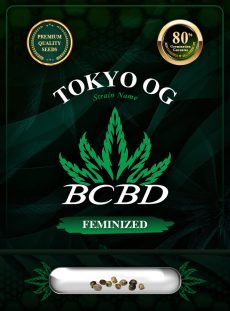 Tokyo OG Strain Feminized