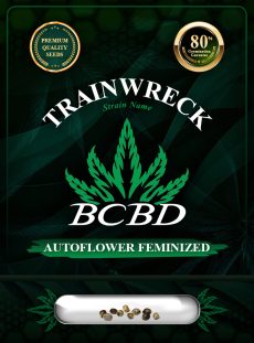 Trainwreck Strain Autoflowering