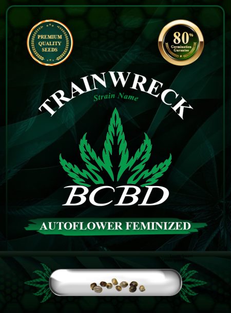 Trainwreck Strain Autoflowering