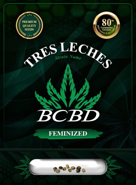 Tres Leches Strain Feminized