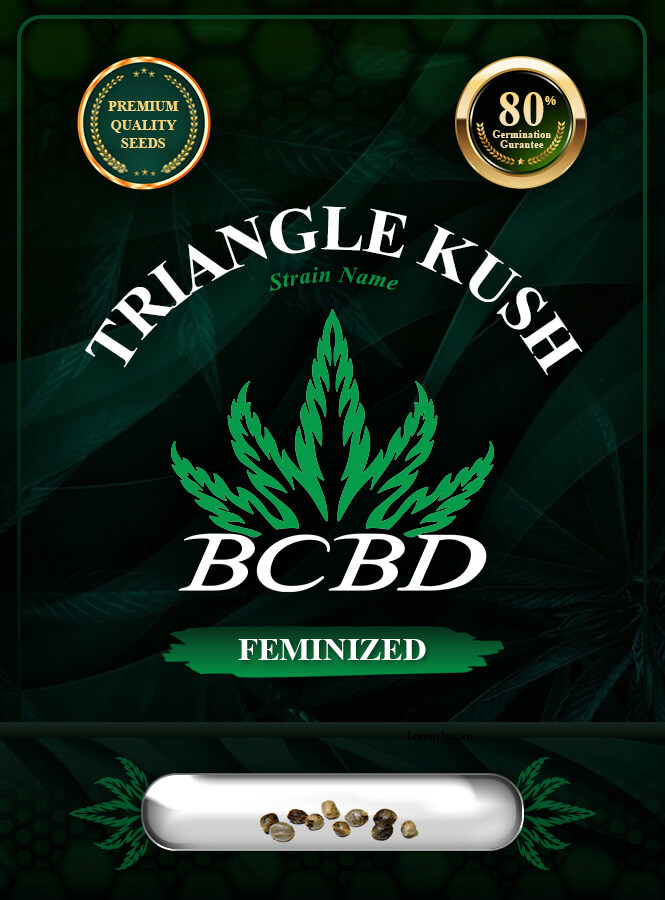 Triangle Kush Feminized Marijuana Seeds