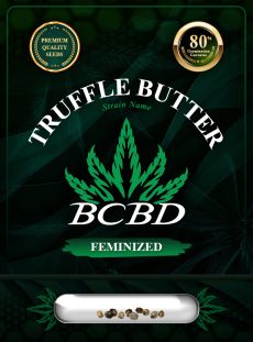 Truffle Butter Strain Feminized